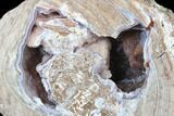 Crystal Filled Dugway Geode (Polished Half) - Utah #176755-1